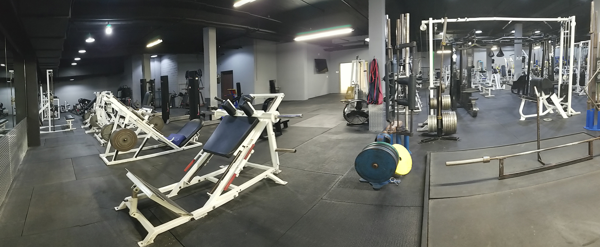 GYM Home | Underground Performance Gym